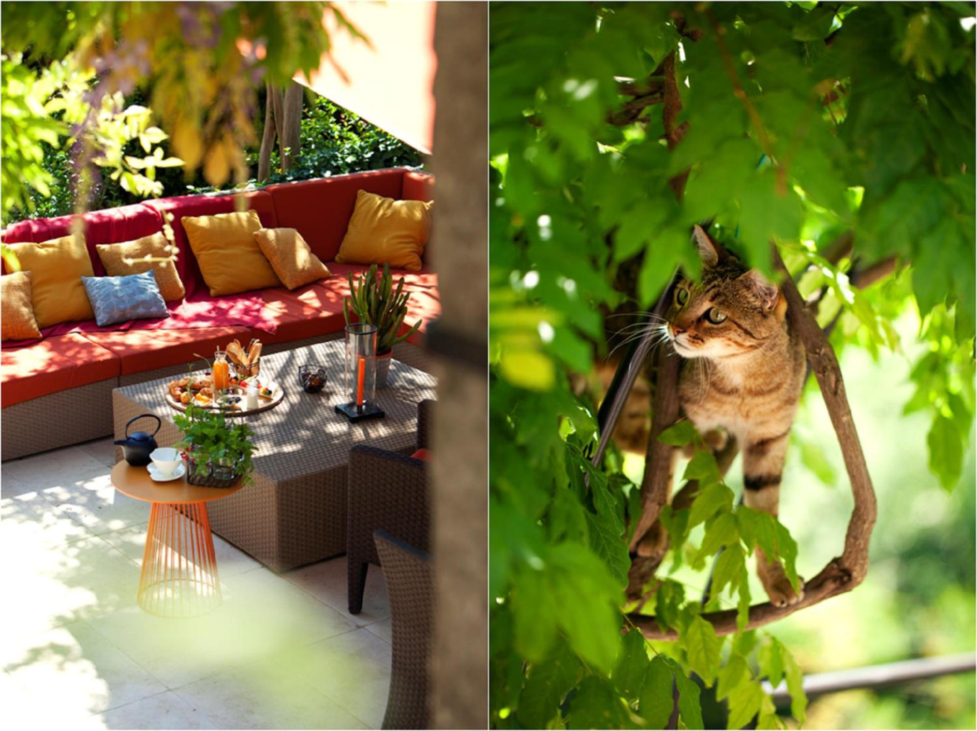 Mas De L'Amarine Hotell Saint-Rémy-de-Provence Eksteriør bilde